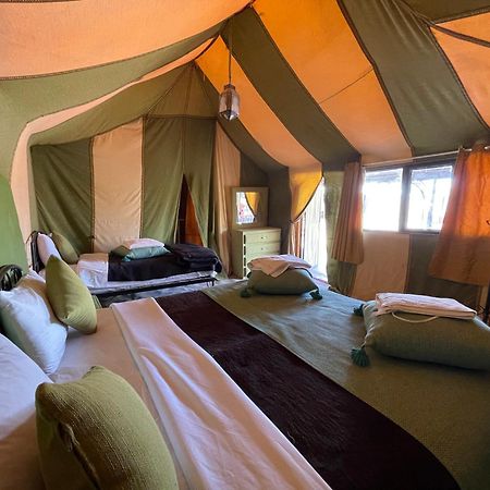 Roses Desert Camp Merzouga Εξωτερικό φωτογραφία